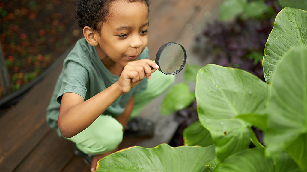Young boy holds a magnifying glass to look at the details in a leaf