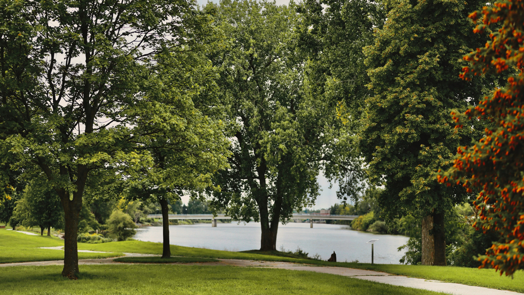 The Saginaw River is shown behind a group of large trees.